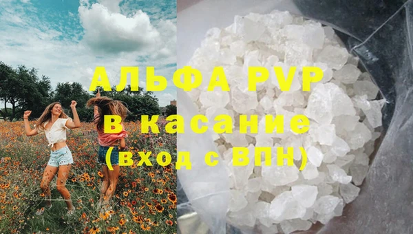 круглые Осинники