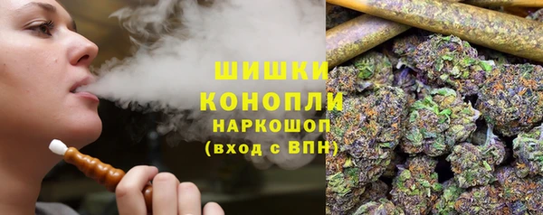 меф Пересвет