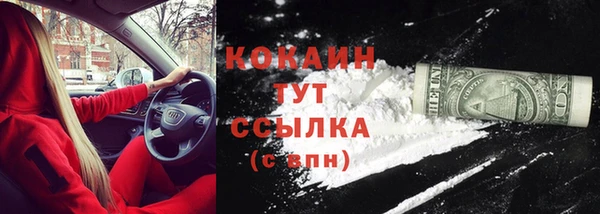 соль ск Кодинск