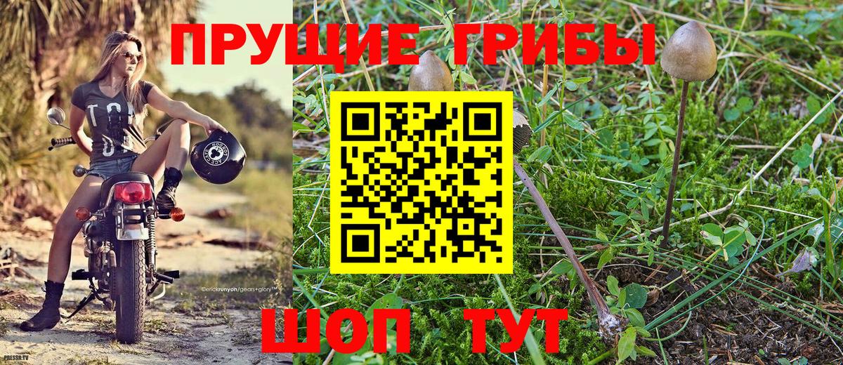 Галлюциногенные грибы MAGIC MUSHROOMS  Вход с VPN  Барабинск  Псилоцибиновые грибы GOLDEN TEACHER 