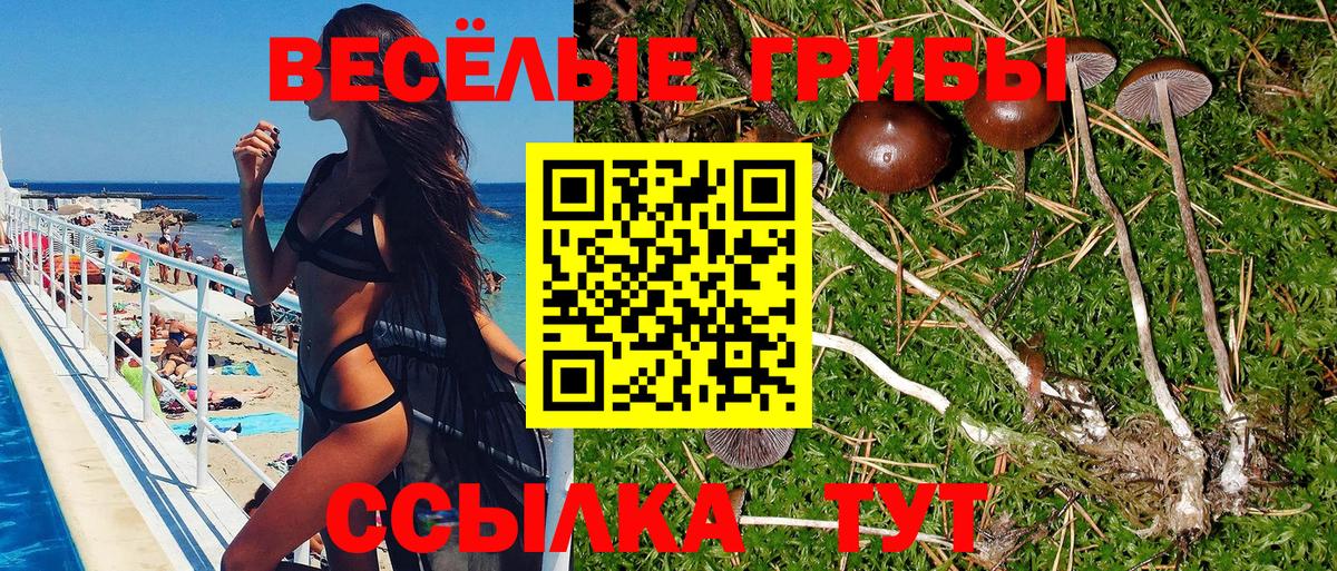 Псилоцибиновые грибы мухоморы Барабинск