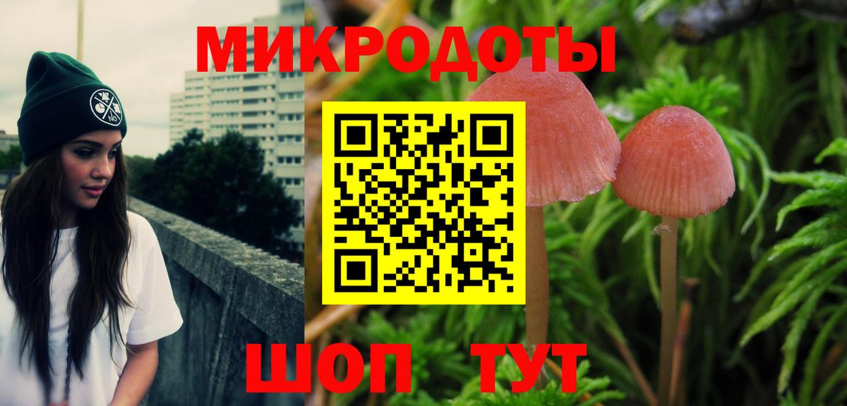 Псилоцибиновые грибы Psilocybine cubensis Барабинск